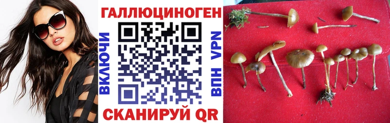 Псилоцибиновые грибы мицелий  Заинск 